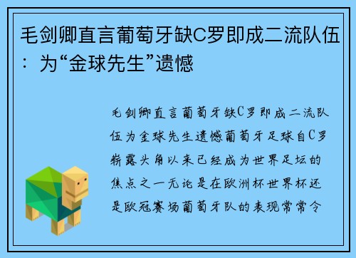 毛剑卿直言葡萄牙缺C罗即成二流队伍：为“金球先生”遗憾