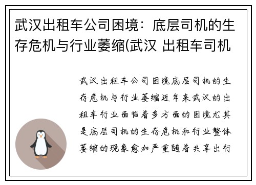 武汉出租车公司困境：底层司机的生存危机与行业萎缩(武汉 出租车司机)